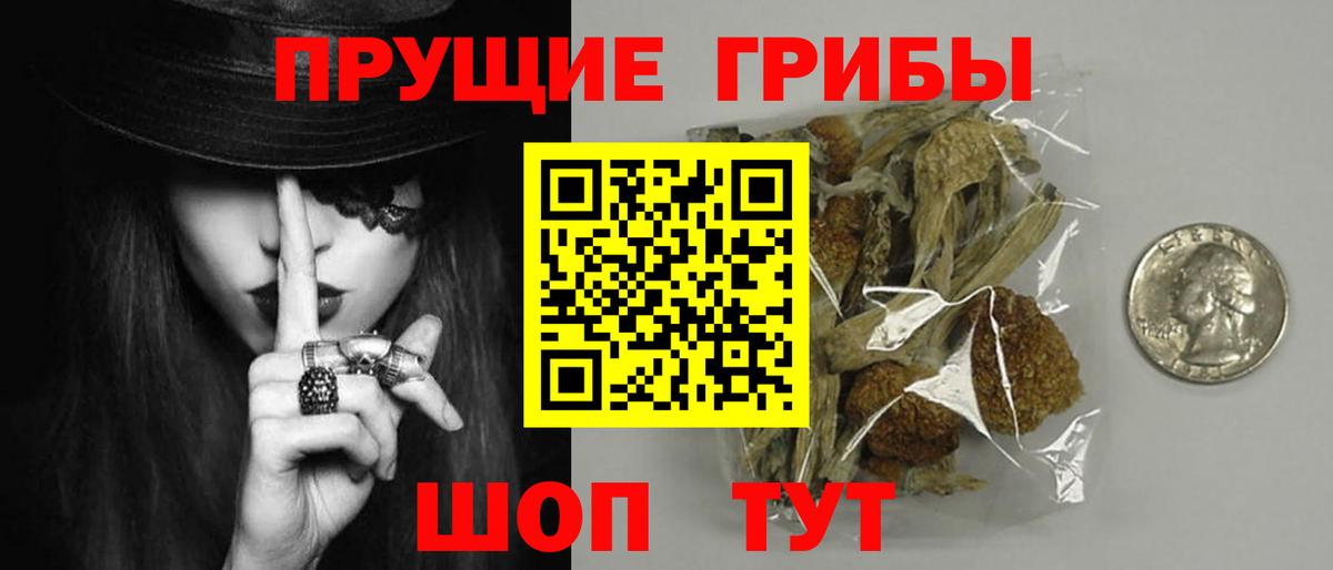 Галлюциногенные грибы Cubensis Оренбург